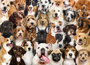 All the Dogs 1000 Piece Jigsaw Puzzle