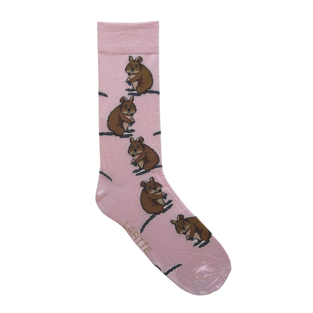 Lafitte Socks -  Quokka Pale Pink Women's Socks AU 2-8, EU 35-39