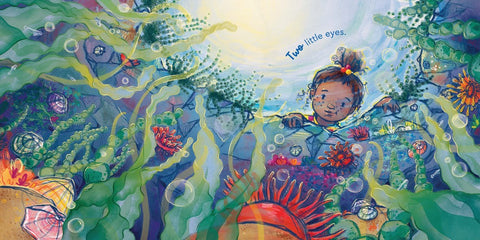 In the Rockpool by Andrea Rowe, Hannah Sommerville (Illustrator)