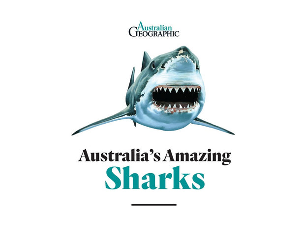 Australia's Amazing Sharks