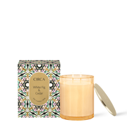 Circa - Christmas 2024 - White Fig & Cedar 350g Candle