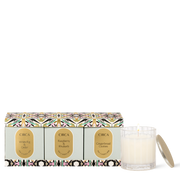 Circa - Christmas 2024 - White Fig & Cedar, Raspberry & Rhubarb, Gingerbread Cookies 3x60g Candles