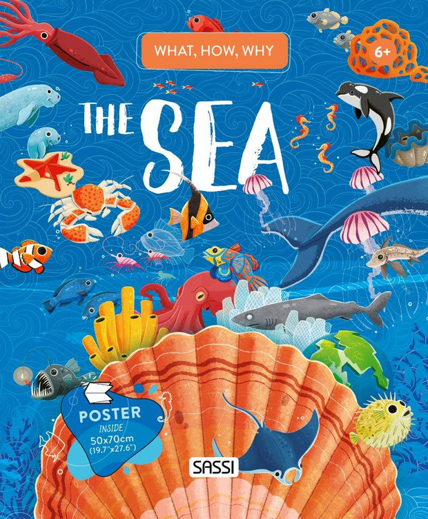 Sassi - What How and Why The Sea Book and Poster