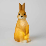 Pilbeam - Bunny Sculptured Light