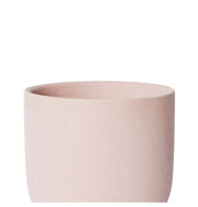 Elme Living - Allegra Pot With Saucer - 12 x 12 x 12cm - Pink