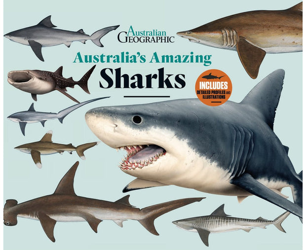 Australia's Amazing Sharks