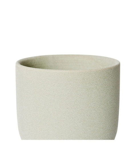 Elme Living - Allegra Pot With Saucer - 12 x 12 x 12cm - Green