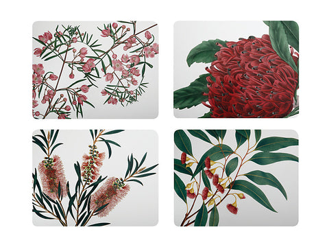 Royal Botanic Gardens Australian Botanics Cork Back Placemat 34x26.5cm Set of 4 Assorted Gift Boxed