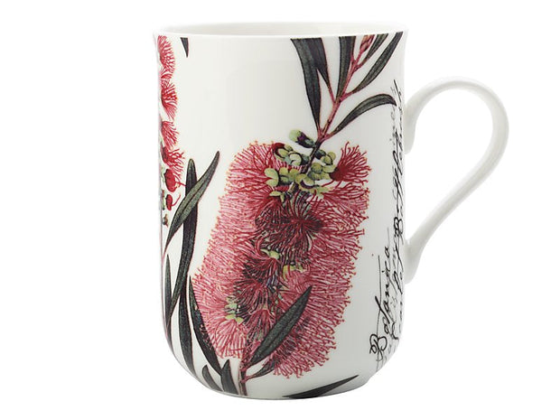 Royal Botanic Gardens - Australian Botanics Mug Bottlebrush 300ML Gift Boxed