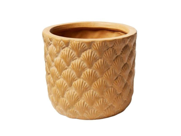 Jones & Co. - Shell Planter - Tobacco