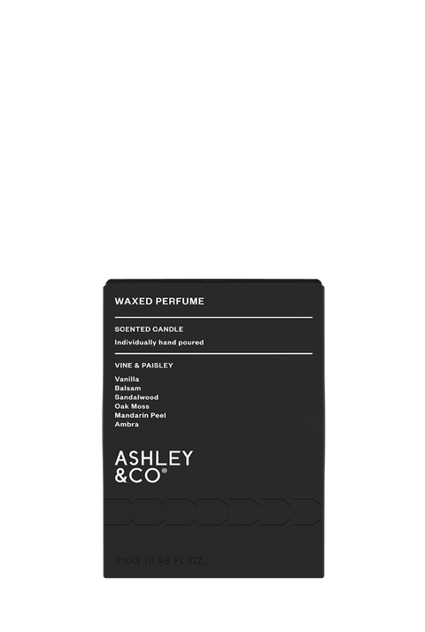 Ashley & Co. - Waxed Perfume Candle: Vine & Paisley