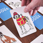 Ridley's - Dressed Up Dogs Memory Card Game