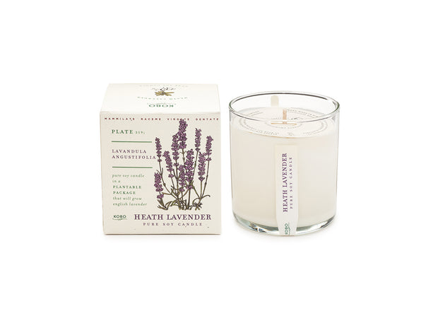 Kobo - Plant the Box Candle - Heath Lavender - 10oz