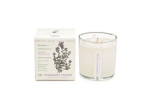 Kobo - Plant the Box Candle - Somerset Thyme - 10oz