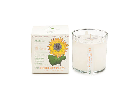 Kobo - Plant the Box Candle - Sweet Sunflower - 10oz