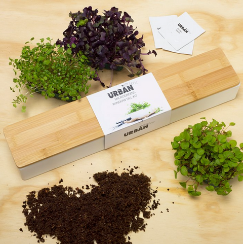 Urban Greens - Micro Greens Window Sill Kit