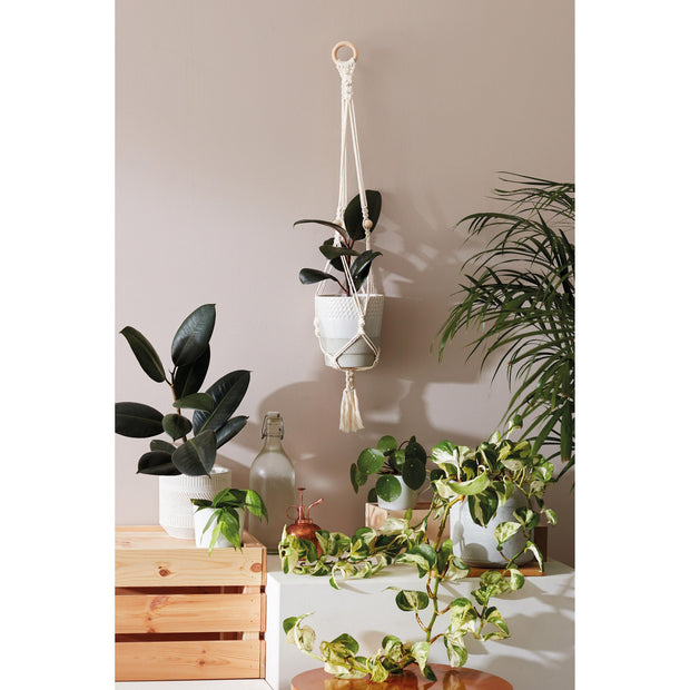 Luckies - Calm Club DIY Macramé Plant Pot Hanger
