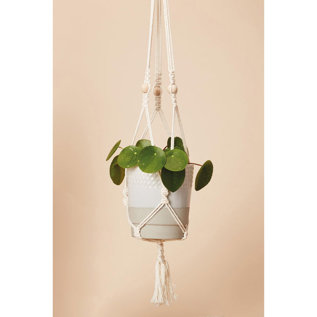 Luckies - Calm Club DIY Macramé Plant Pot Hanger